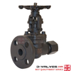 3/4inch A105 Forged Steel F-NPT with Flange Gate Valve