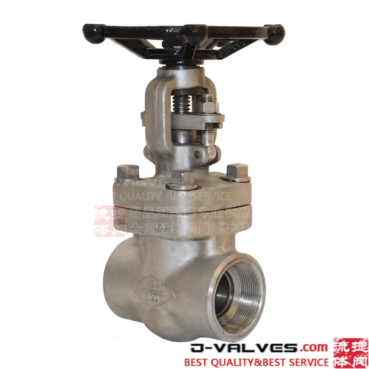 F304 800LB Forged Stainless Steel F-NPT Globe Valve