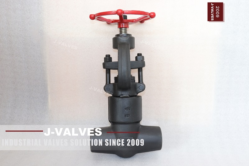 1 2500LB globe valve (1).jpg