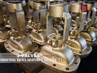 //iororwxhkjmjlm5p.leadongcdn.com/cloud/miBpoKnrRllSiqooropjk/C95800-Gate-Valve.jpg