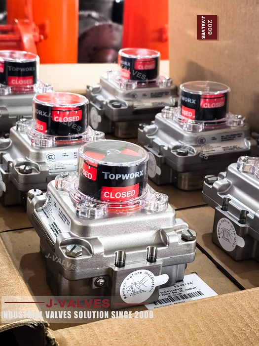 Pneumatic Actuator with Limit Switches (2)