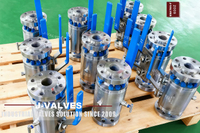//iororwxhkjmjlm5p.leadongcdn.com/cloud/miBpoKnrRllSmlmppklil/Industrial-Grade-Stainless-Steel-DBB-Ball-Valve.jpg