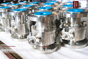 2PC Stainless Steel Floating Ball Valve (1).jpg