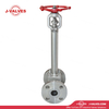 5.5"PN300 F304 Long Stem Gate Valve