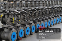 //iororwxhkjmjlm5p.leadongcdn.com/cloud/miBpoKnrRllSmqlplpppn/2-5-150LB-WCB-Casting-Globe-Valve.jpg
