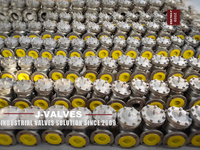//iororwxhkjmjlm5p.leadongcdn.com/cloud/miBpoKnrRllSqkrnrkllj/Check-Valve.jpg