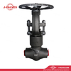 DN50 PN160 A105N Butt Weld Gate Valve