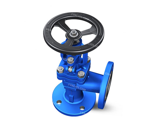Angle Globe Valve