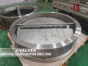 DN800 PN10 Double Disc Wafer Check Valve (1).jpg