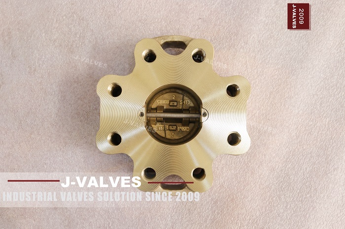 2‑inch Class 300 C95800 lug type dual plate wafer check valve (2)
