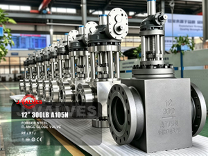 12“ 300LB A105N Forged Steel Flange Globe Valve.jpg
