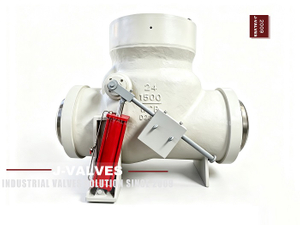 Micro-Resistance Slow Closing Check Valve.jpg