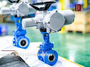 WCB Electric Actuated Flanged Gate Valve (9).jpg