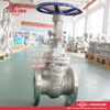 J-Valves made in China 10K Stainless Steel CF8m Flanged Gate Valve
