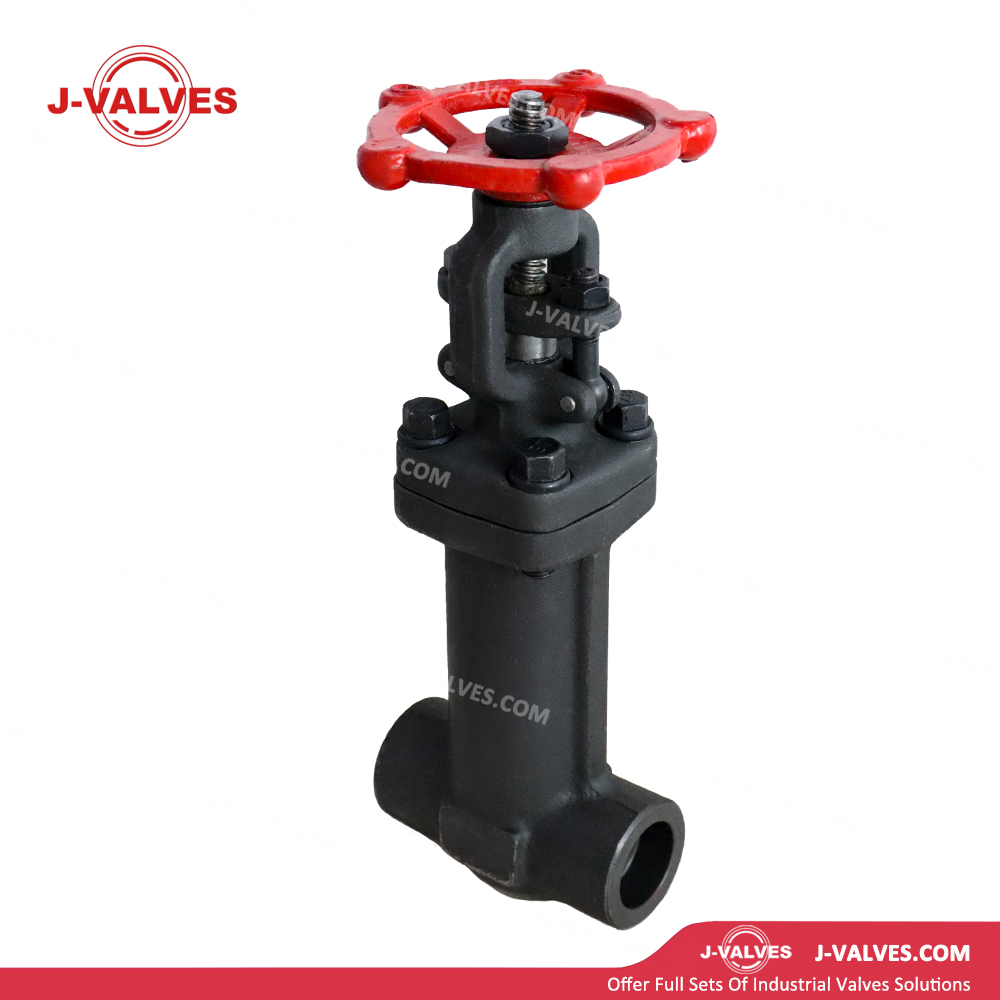 0.75"800LB A105N Bellows Gate Valve