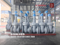 //iororwxhkjmjlm5p.leadongcdn.com/cloud/mjBpoKnrRllSrpprnqpik/12-300LB-LCB-extended-stem-cryogenic-gate-valves.jpg