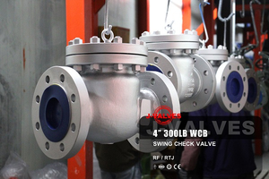 Swing Check Valve.jpg