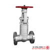 API600 4inch 900lb Stainless Steel CF3M Pressure Seal High Pressure Flanged Gate Valve 