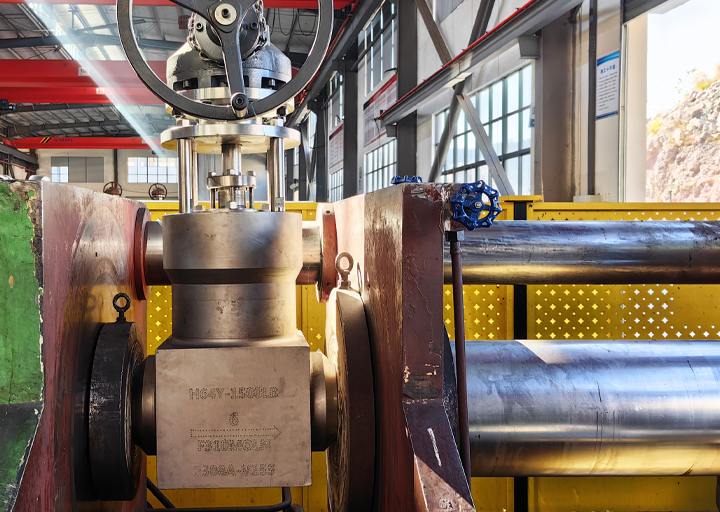 Pressure sealed globe valve