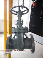 //iororwxhkjmjlm5p.leadongcdn.com/cloud/mkBpoKnrRllSjimlmilpk/6-300LB-Cast-Steel-Flanged-Gate-Valve.jpg