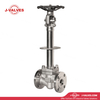 China-Made J-Valves ANSI Class 150 Forged Steel F304/F316 Handwheel Operation Flange End Bonnet extension With Drip Tray Cryogenic Globe Valve