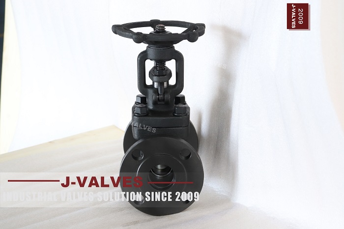 Flange Globe valves (3)
