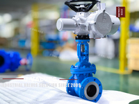 //iororwxhkjmjlm5p.leadongcdn.com/cloud/mkBpoKnrRllSlinjmklrj/WCB-Electric-Actuated-Flanged-Gate-Valve.jpg
