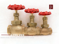 //iororwxhkjmjlm5p.leadongcdn.com/cloud/mkBpoKnrRllSllnmmnlpl/Bronze-Globe-Valves.jpg