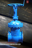 //iororwxhkjmjlm5p.leadongcdn.com/cloud/mkBpoKnrRllSmollpllml/DN250-10-WCB-Gate-valve.jpg