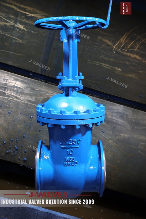 DN250 10 WCB Gate valve (1).jpg