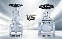 //iororwxhkjmjlm5p.leadongcdn.com/cloud/mkBpoKnrRllSmonppmlmn/GATE-VALVE-VS-GLOBE-VALVE.jpg