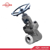 F11 Y Type Globe Valve