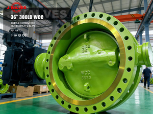 1Triple Eccentric Butterfly Valve.jpg