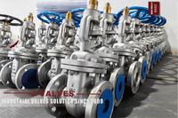 //iororwxhkjmjlm5p.leadongcdn.com/cloud/mkBpoKnrRllSqiiiqjlnj/GATE-VALVES.jpg