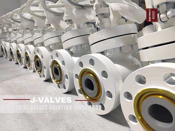 Flanged globe valve (1)