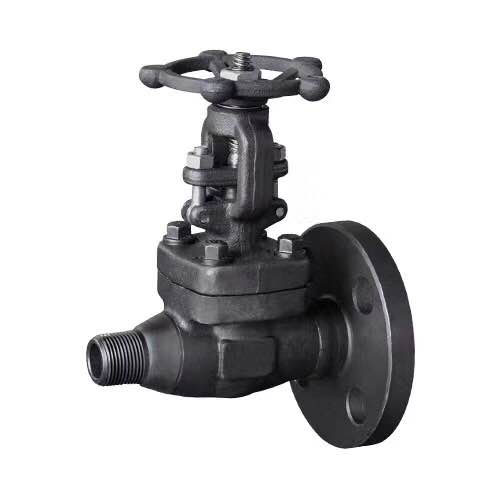 Stainless Steel Forged Flanged Globe Valve