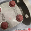 Swing Type 300# F316L Foregd Stainless Steel Flange Check Valve