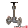 API602 Forged Steel Stainless Steel F304 300lb Flanged Cryogenic Globe Valve