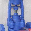 DIN CE DN25 PN16 GS-C25 carbon steel flange globe valve