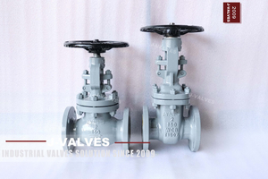Fiange globe valve and Fiange gate valve.jpg