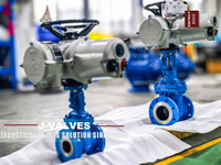 //iororwxhkjmjlm5p.leadongcdn.com/cloud/mlBpoKnrRllSlikjiolpj/WCB-Electric-Actuated-Flanged-Gate-Valve.jpg