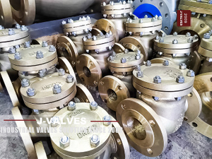 1Bronze Check Valve (1).jpg