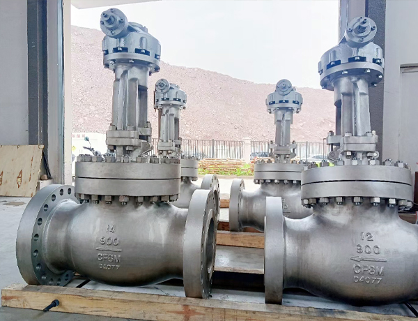 Stainless steel high-pressure globe valve