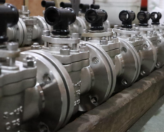Stainless Steel Compression Tube Fitting Plug Valve