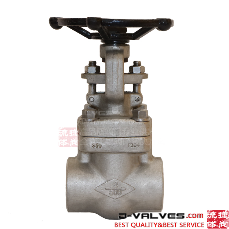 F304 800LB Forged Stainless Steel F-NPT Globe Valve