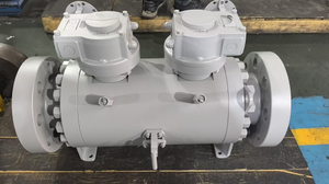 DBB BALL VALVE 01.jpg