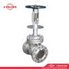 China-Made J-Valves 6inch ANSI Class 300 OS&Y Stainless Steel CF8M Handwheel Operation Flange RF Extended bonnet With drip tray Cryogenic Gate Valve