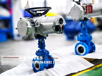 //iororwxhkjmjlm5p.leadongcdn.com/cloud/mmBpoKnrRllSkipmqrljj/GATE-VALVES2.jpg