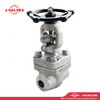Stainless Steel Socket Weld Gate Valve