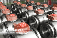 //iororwxhkjmjlm5p.leadongcdn.com/cloud/mmBpoKnrRllSmqljppppl/Precision-machined-trunnion-mounted-ball-valve.jpg